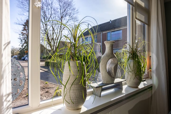 Foto 11 van Canadastraat 107