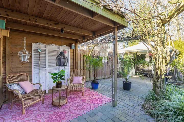 Photo 38 of Tormentil 65