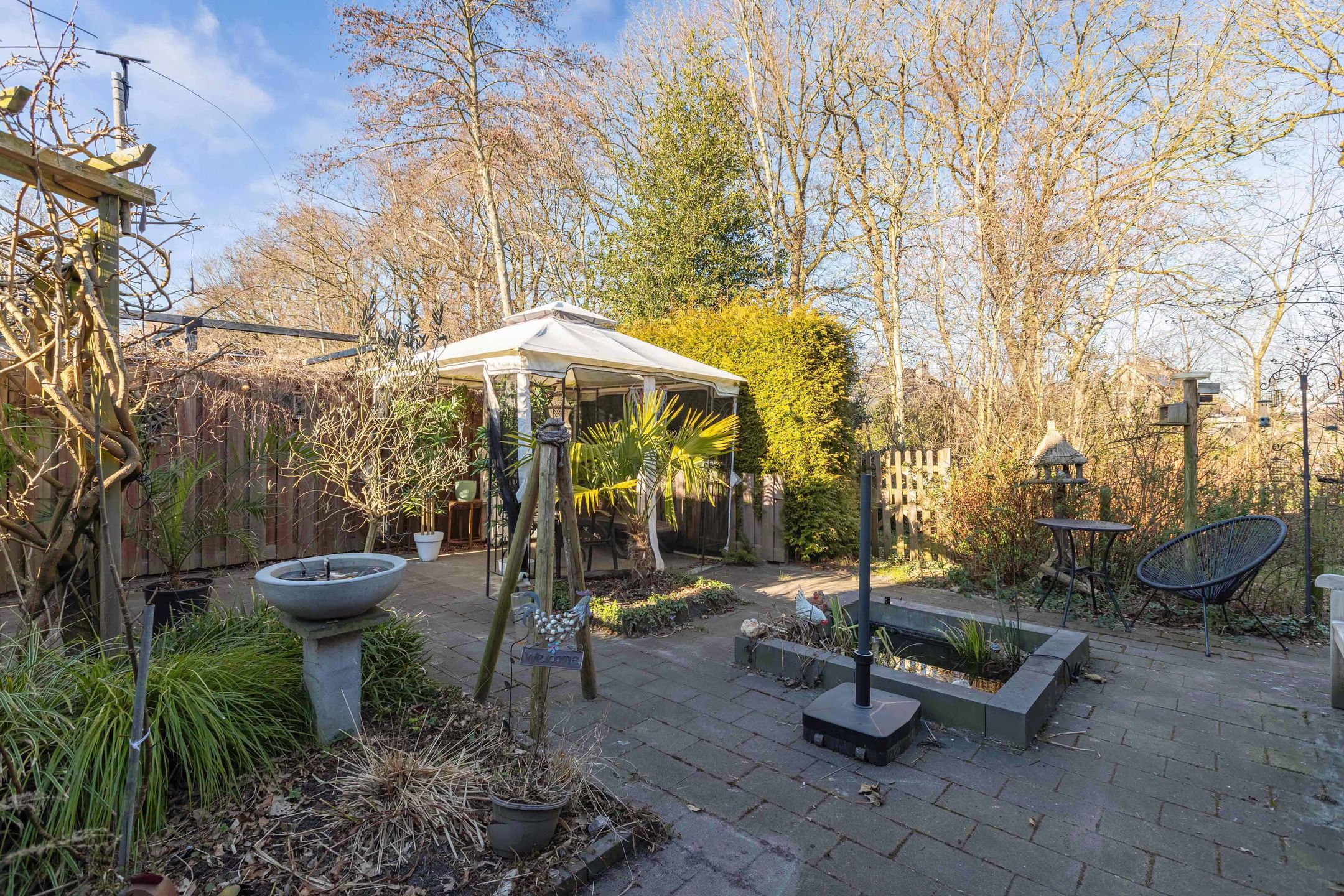 Foto 42 van Tormentil 65