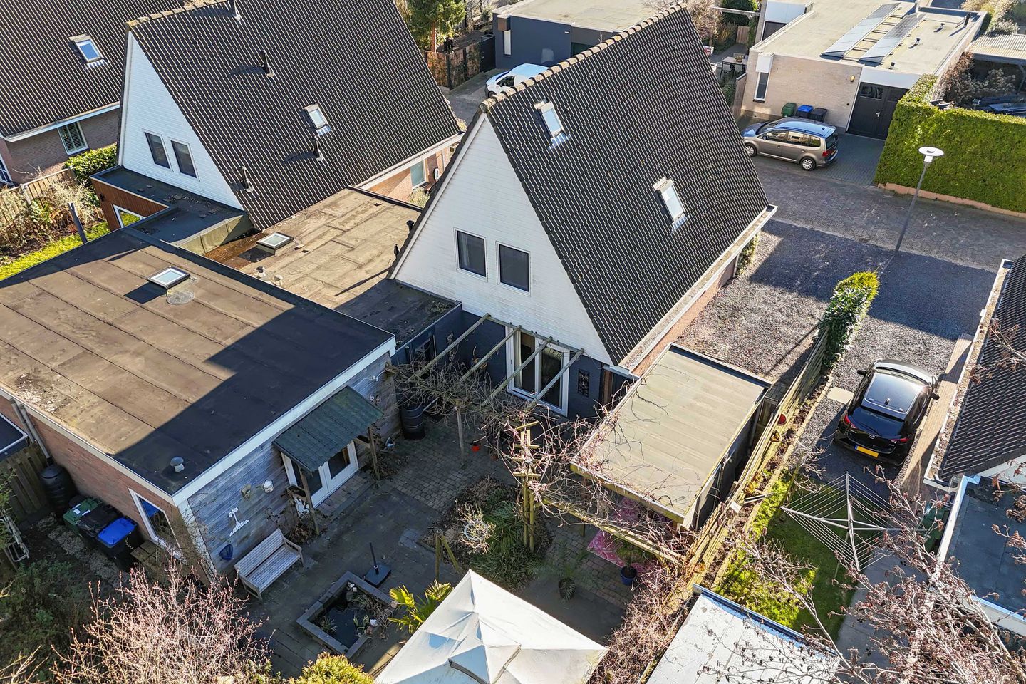 Foto 44 van Tormentil 65