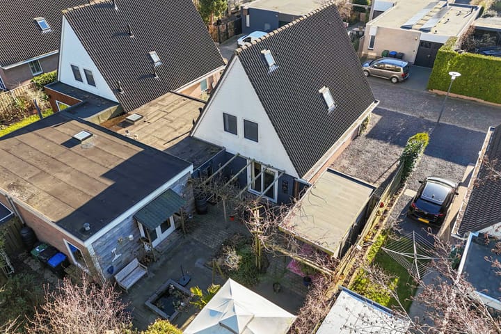 Photo 44 of Tormentil 65