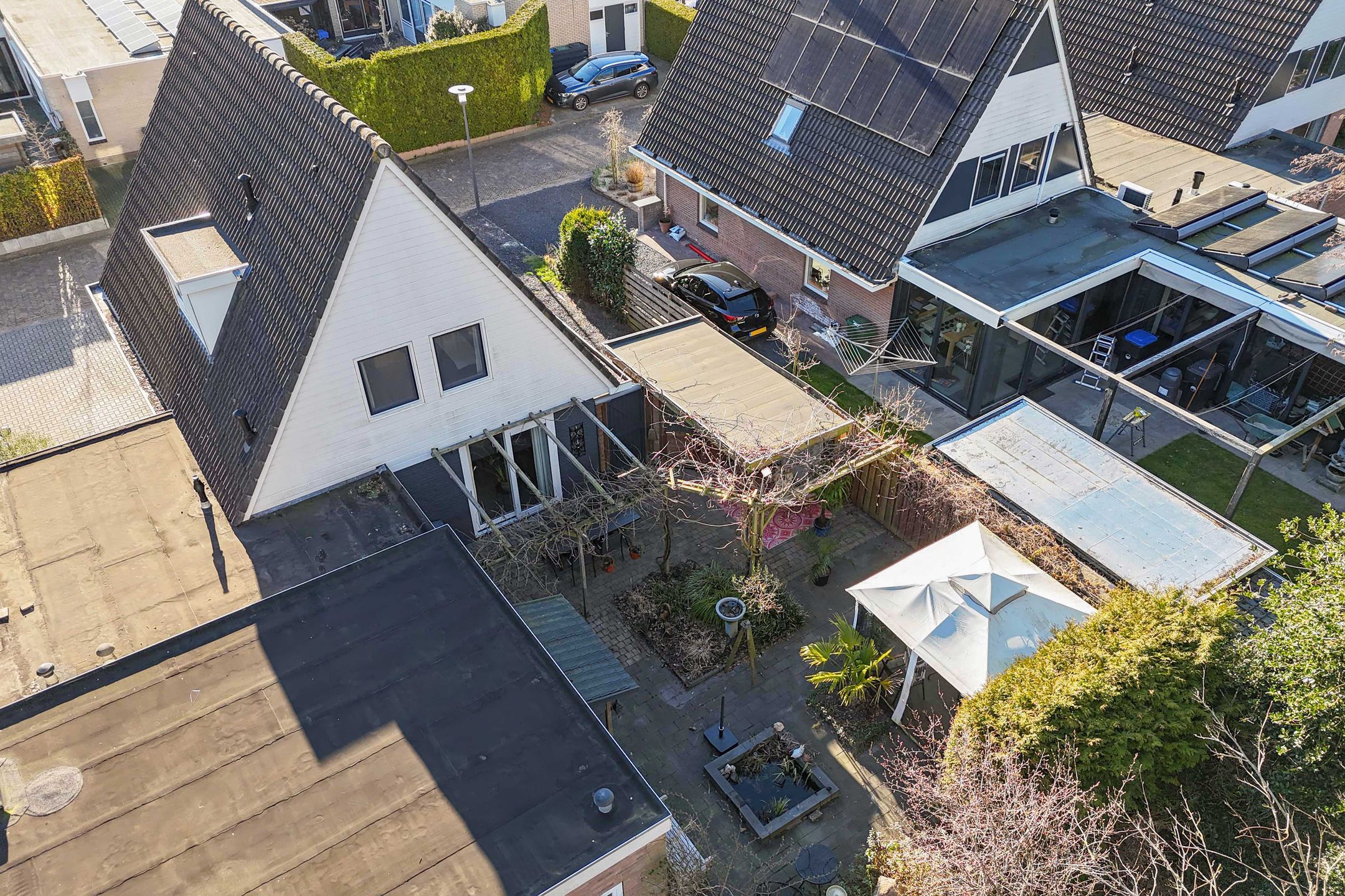 Foto 45 van Tormentil 65