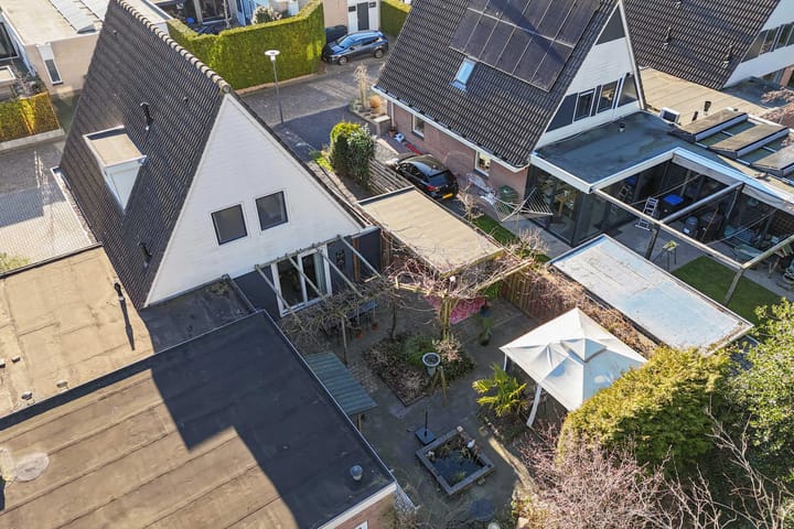 Photo 45 of Tormentil 65