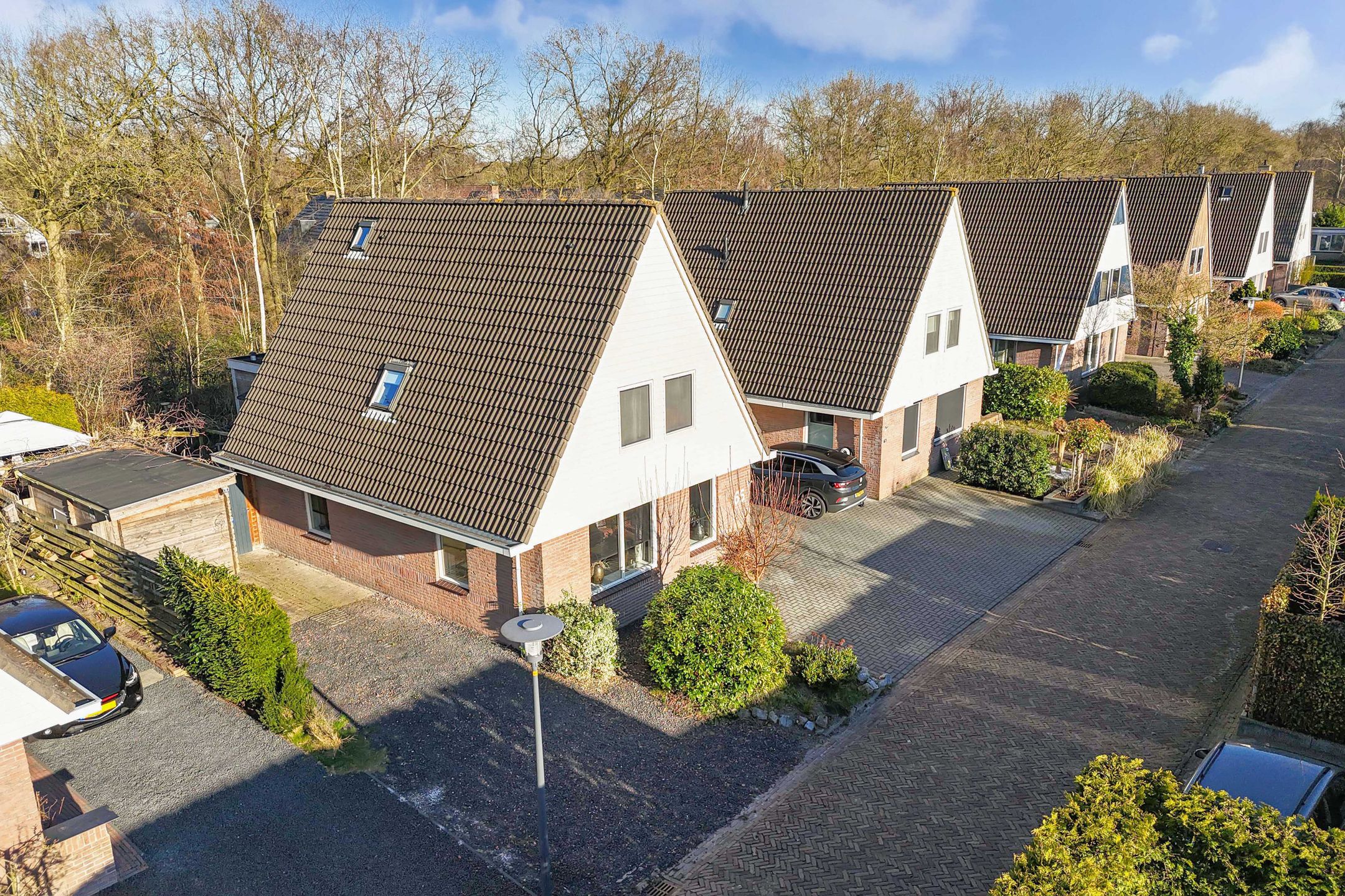 Foto 57 van Tormentil 65