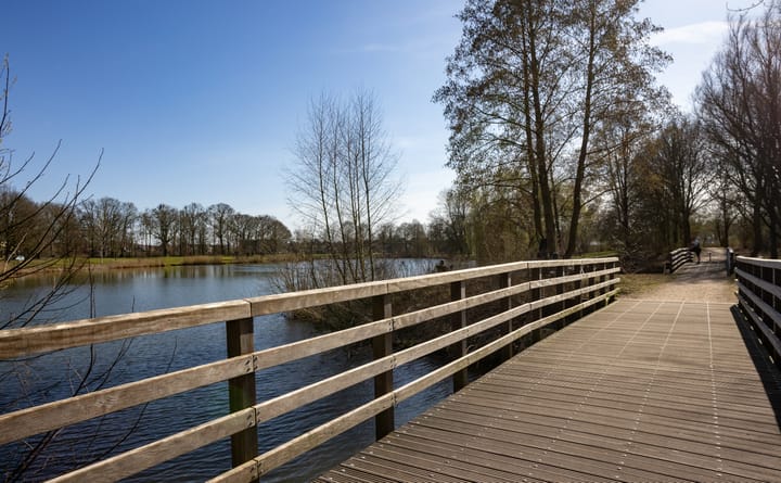 Foto 45 van Canadastraat 107