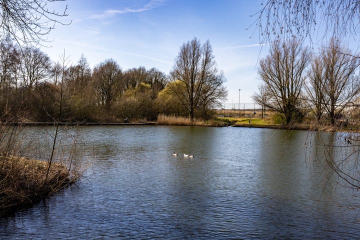 Foto 46 van Canadastraat 107