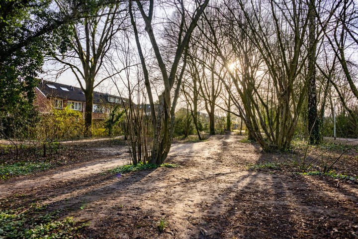 Foto 47 van Canadastraat 107