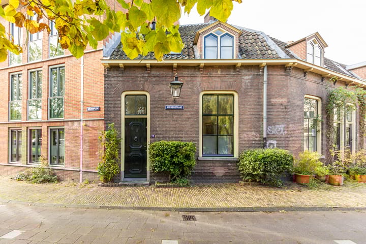 Foto 16 van Wolvenstraat 25