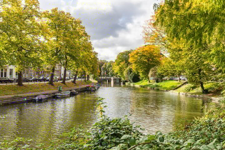 Foto 19 van Wolvenstraat 25