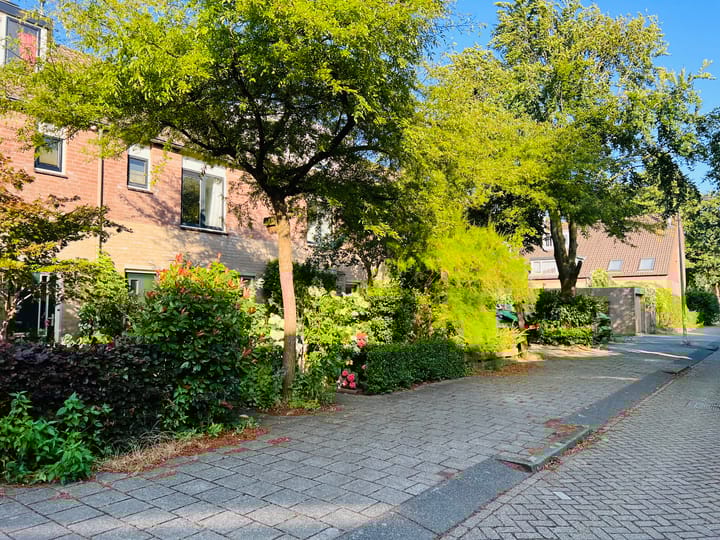 Foto 20 van Teugestraat 10