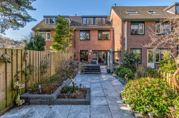 Foto 2 van Rijsbes 11