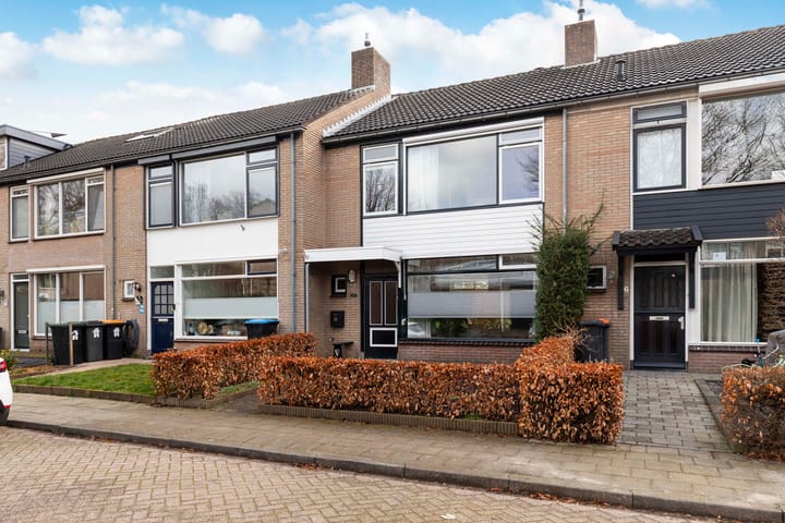 Foto 3 van de Veldkamp 8