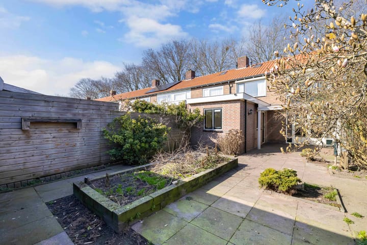 Foto 30 van Schokkerwal 26