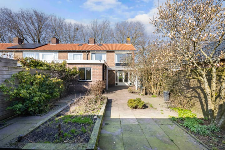 Foto 32 van Schokkerwal 26