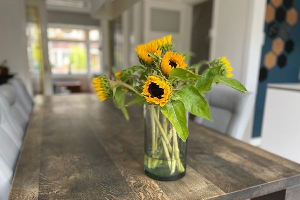 Foto 10 van Gerard Doustraat 6