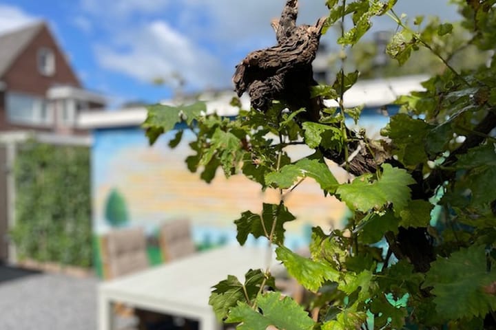 Foto 18 van Gerard Doustraat 6