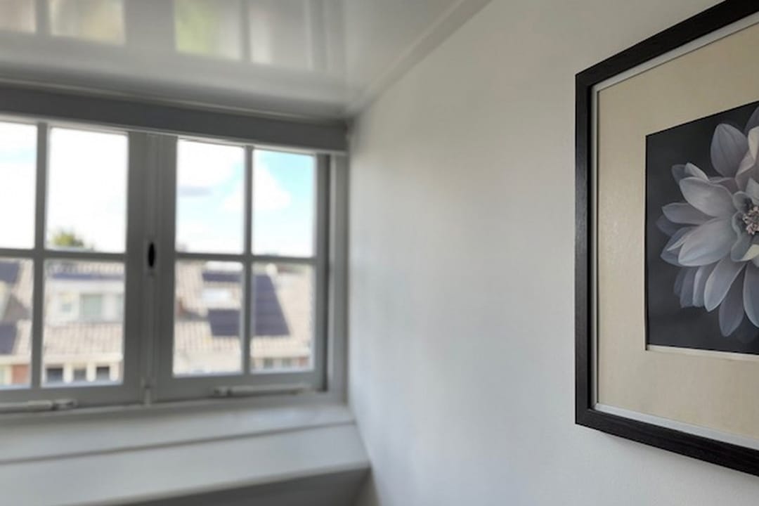 Foto 37 van Gerard Doustraat 6