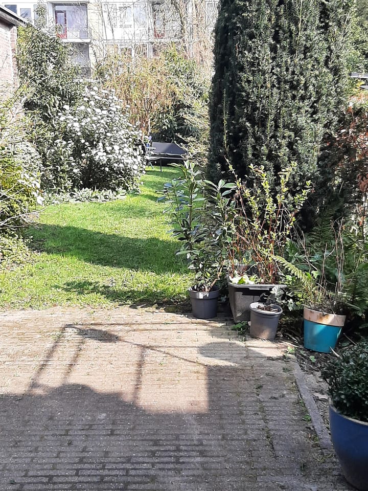 Foto 44 van Hordijk 131