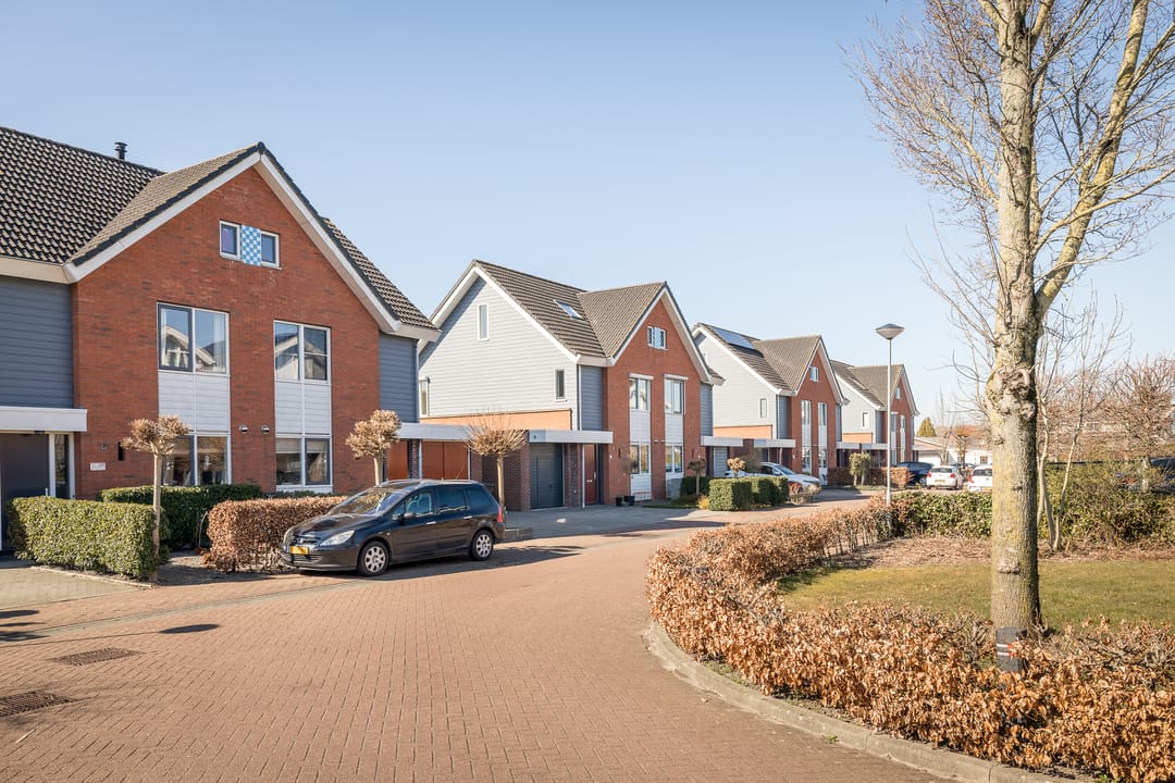 Foto 38 van Kluut 24