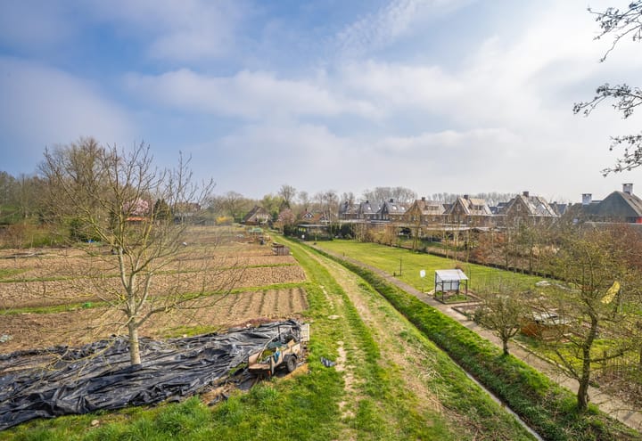 Photo 15 of Wielstraat