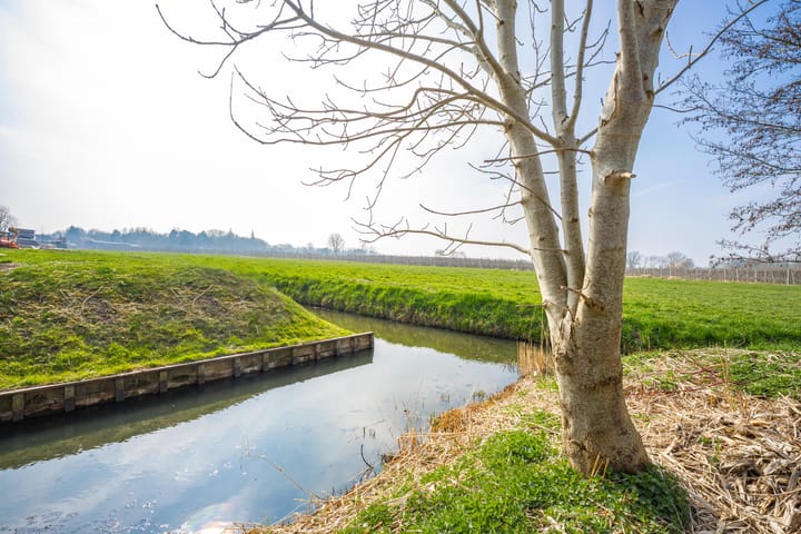 Photo 3 of Wielstraat