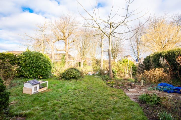 Photo 7 of Weegbree 5