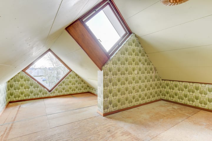 Photo 38 of Weegbree 5