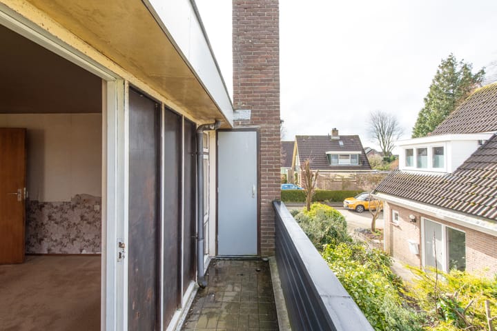 Photo 40 of Weegbree 5