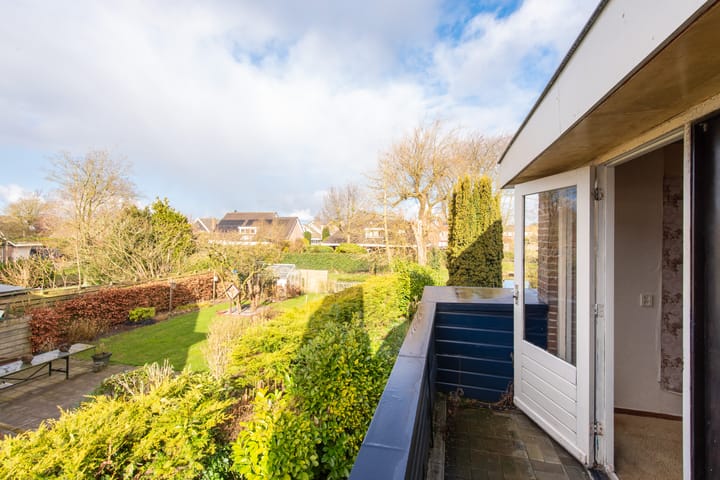 Photo 41 of Weegbree 5