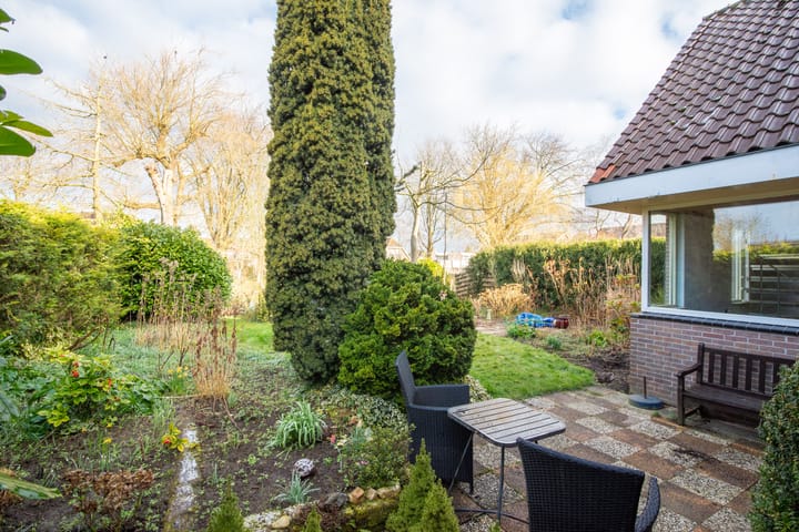 Photo 42 of Weegbree 5