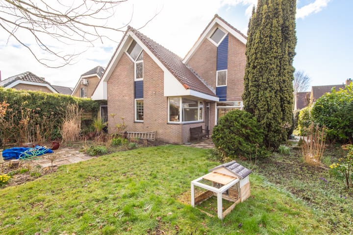 Photo 46 of Weegbree 5