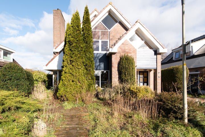 Photo 48 of Weegbree 5