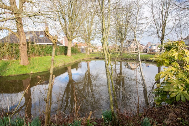 Photo 49 of Weegbree 5