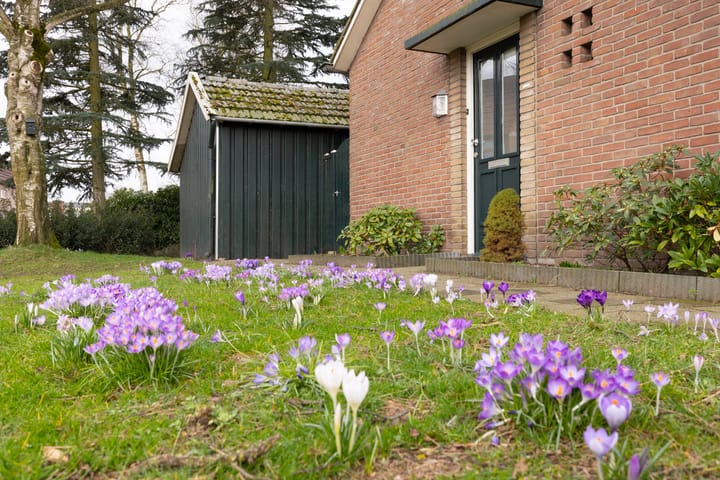 Foto 37 van Acacialaan 44