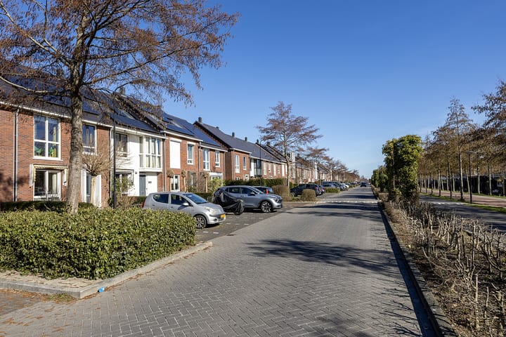 Foto 59 van Laan van Archeologie 5