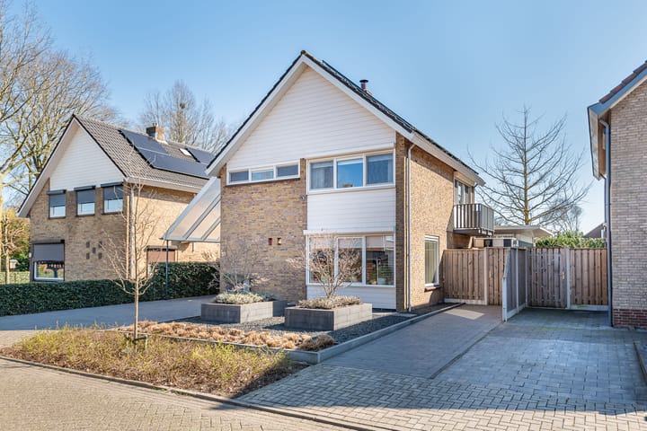 Foto 50 van Pastoor Balkstraat 10