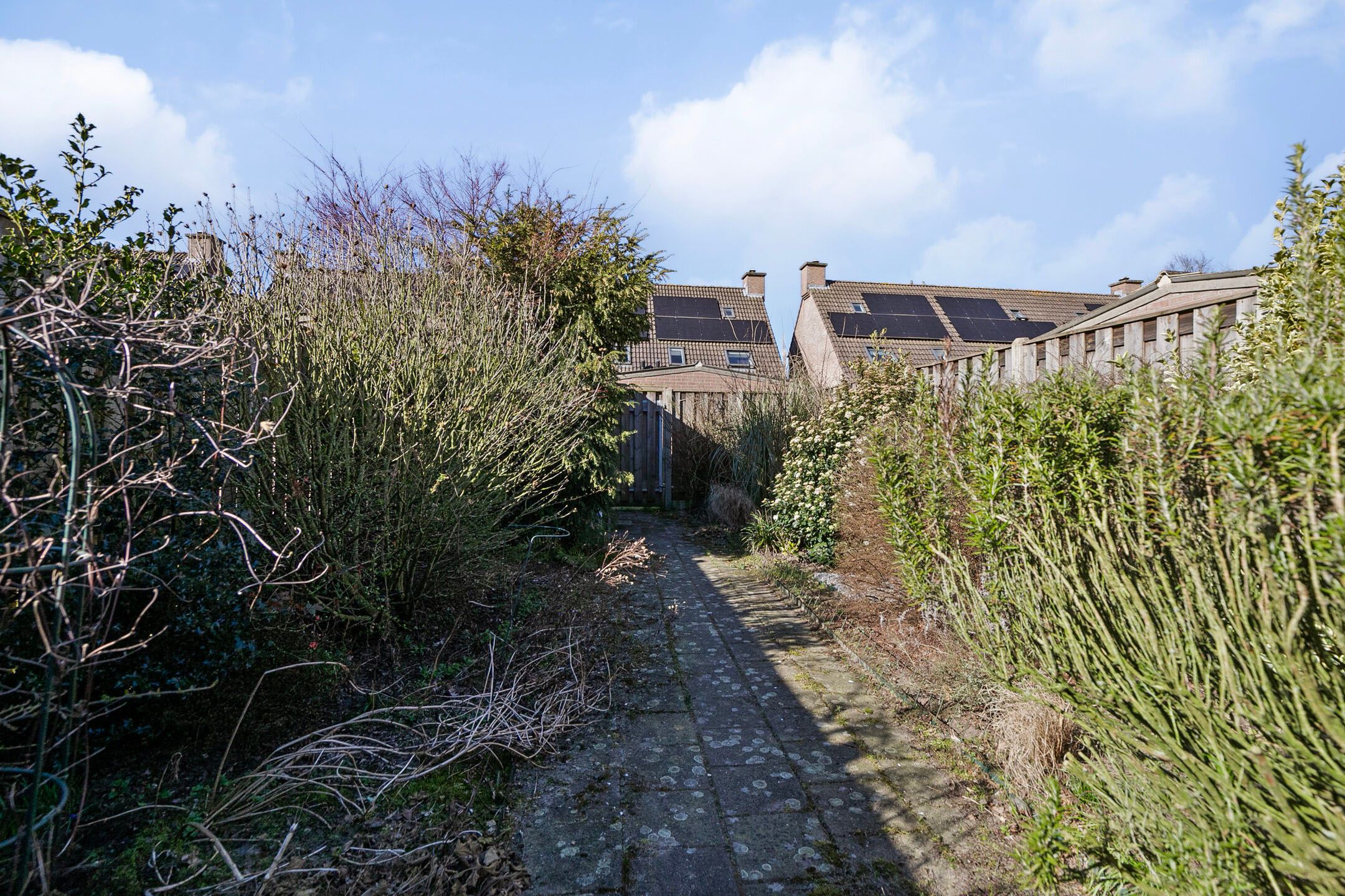 Photo 21 of Veenmossingel 50