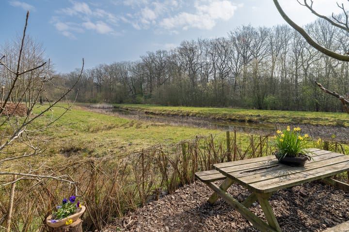 Foto 2 van Rodenbergsedreef 16