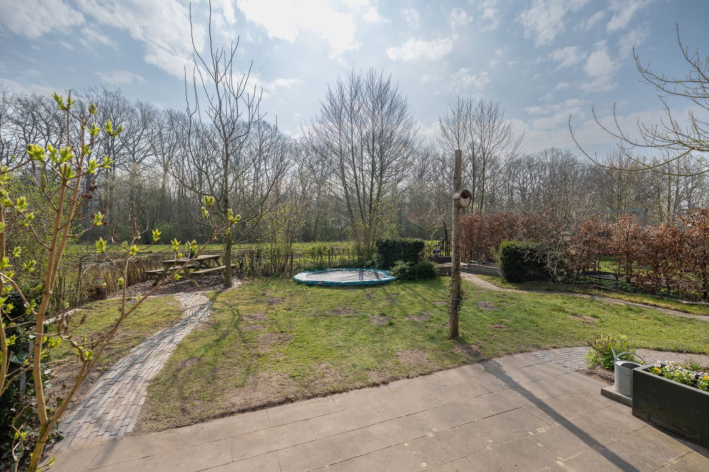 Foto 35 van Rodenbergsedreef 16