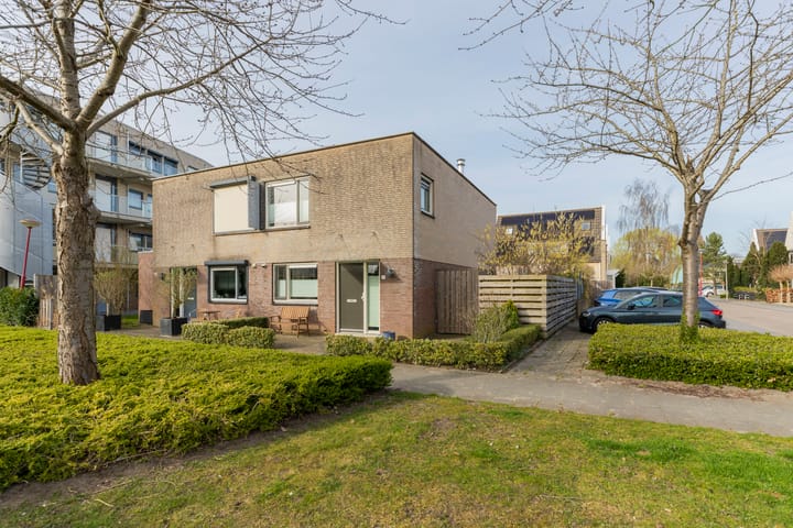 Foto 1 van Multatulipad 67