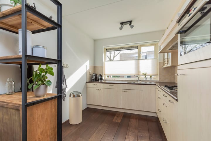 Foto 7 van Multatulipad 67