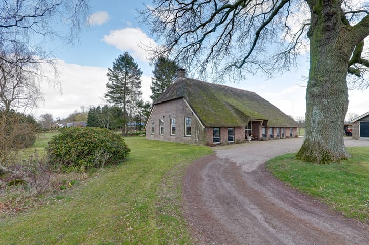 Foto 23 van Holthe 28