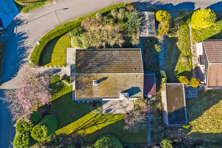 Foto 24 van Moerbeilaan 1