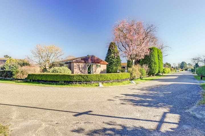 Foto 28 van Moerbeilaan 1