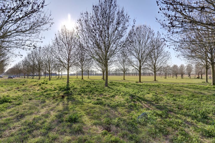 Foto 36 van Schultz van Haegenstraat 15