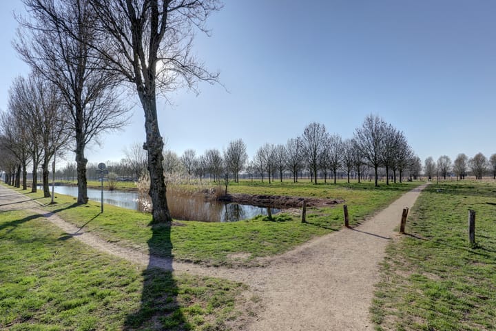 Foto 37 van Schultz van Haegenstraat 15