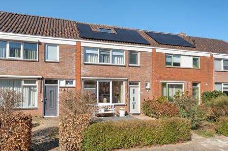 undefined main image