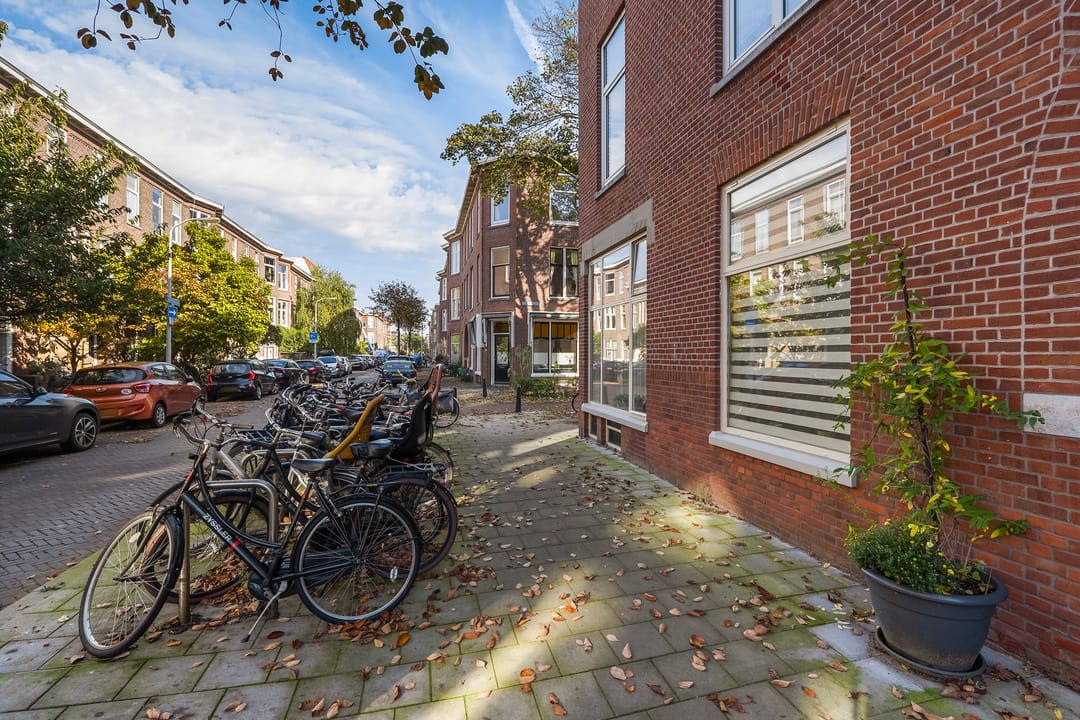 Foto 46 van Berberisstraat 52