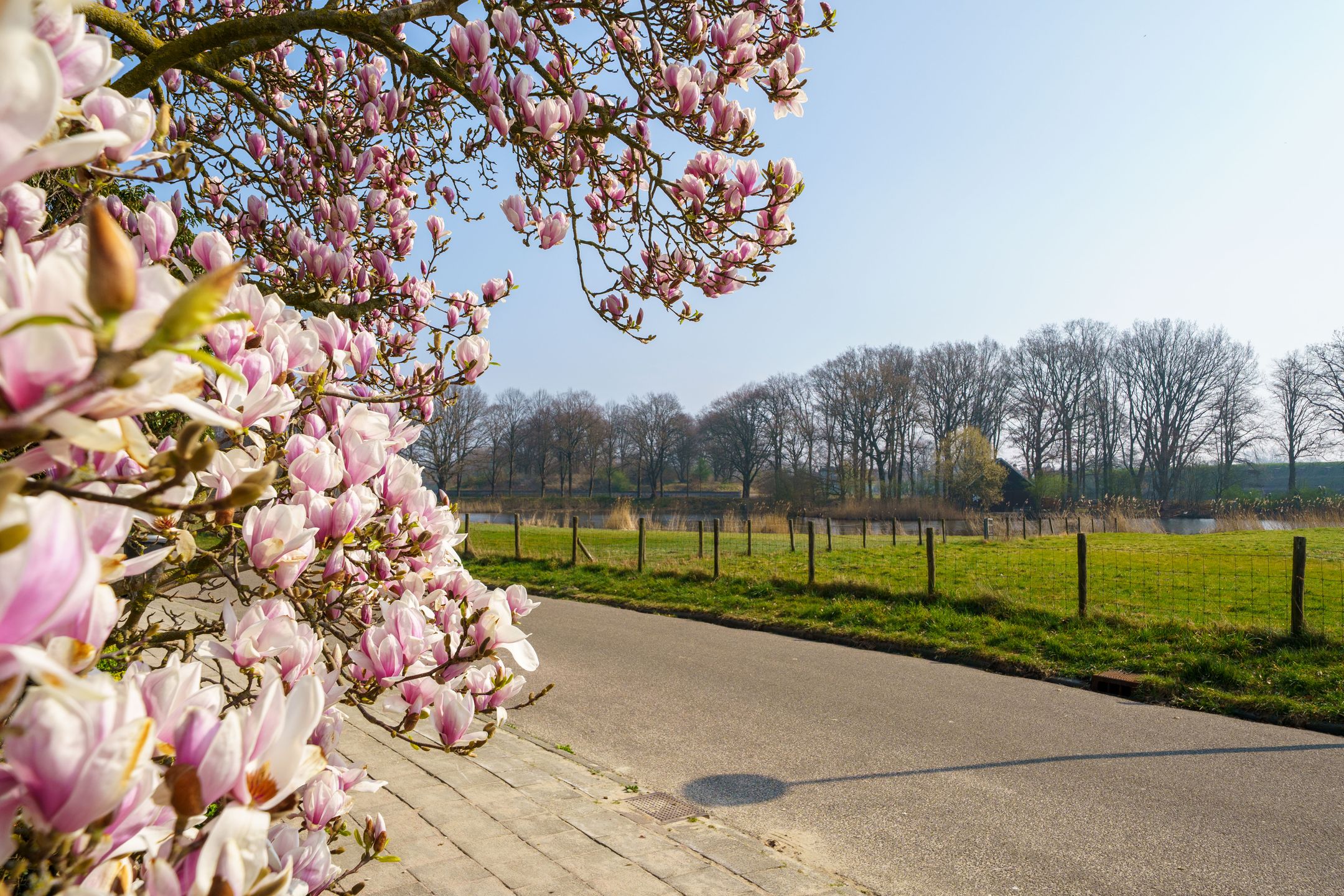 Photo 9 of van Limburg Stirumlaan 35