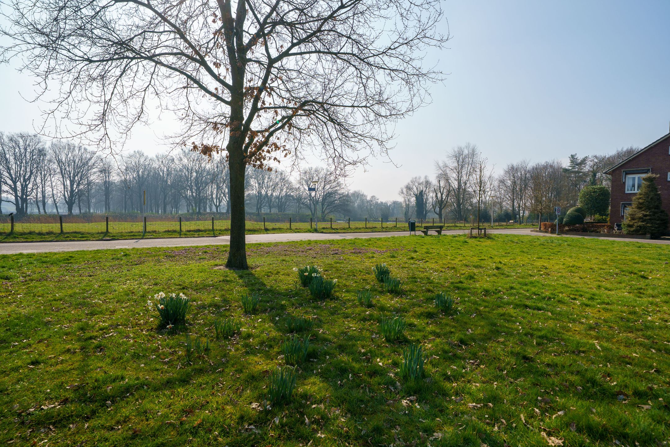 Photo 30 of van Limburg Stirumlaan 35